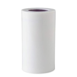 iSpring FDF1 Cartucho de repuesto para filtro de agua de montaje en llave DF1/DF2