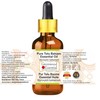 Greenwood Essential Tolu Balsam Essential Oil (Myroxylon balsamum) with Glass