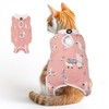Cat Recovery Suit for Spay Abdominal Wounds Female, Pet Onesie