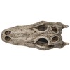 SUMMIT COLLECTION Polystone Alligator Skull Replica Model On Stand with