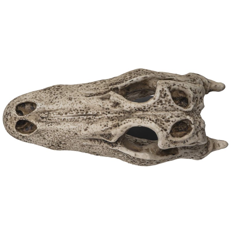 SUMMIT COLLECTION Polystone Alligator Skull Replica Model On Stand with