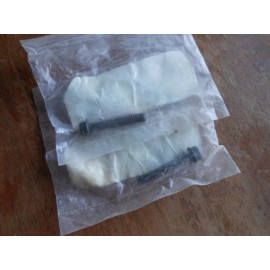 Yamaha WR250 Fuel Tank Flange Bolts Set of Two (2)  90105-06799