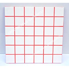 Grout 360 Ragin' Red Sanded Tile Grout for Tile Installation Jobs. Use on Floors, Walls, Back Splashes, Showers, and Mosaics. (5)
