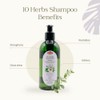 10 Herbs Rejuvenate Shampoo for Bright and Shiny Hair, Sage,