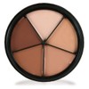 Mehron Makeup Tattoo Cover ProColoRing | 5 Color Wheel Pro