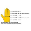 Unbekannt L+D Griffy Griffy L+D 1706-8 Ziegennappaleder Montagehandschuh Groeße (Handschuhe):