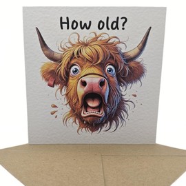 Funny Highland Cow Birthday Card - with Envelope