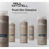 Paul Mitchell The Detangler 300ml
