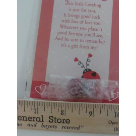 VTG The Little Love Bug by Abbey Press 2002  #313307 Good Luck Fortune Keepsake