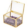 rockcloud Amethyst Healing Crystal Terrarium Container Desktop Planter for Succulent
