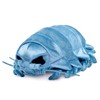 FRANKIEZHOU Realistic Giant Isopod Plush,Isopod Stuffed Animal-12, Arthropods Stuffed Animal,Soft