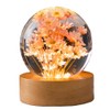 Preserved Red Daisy Crystal Ball Night Light,3D Crystal Ball with