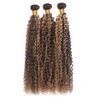 Labamiya Jerry Curly Human Hair Bundles 16 18 20 Inch