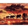 Awesocrafts Number Painting Kits, Landscape of Africa, African Animals Elephant