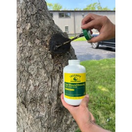 Treekote - Tree Wound & Grafting Compound - Made in the USA - Free Shipping - 32oz Bottle (brush top)