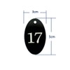 Acrylic Oval Numbered Labels with Key Ring for Organization (Black,