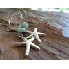 (Almost) real large starfish earrings on long hooks