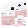 MOTTO LAB. Lip Shot, Set of 3