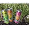 ALO Sparkling White Grape Carbonated Aloe Vera Juice Drink |