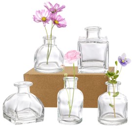 Hedume Set of 10 Small Glass Flower Vases, Clear Glass Bud Vases, Decorative Rustic Floral Vases, Mini Table Floral Vase for Home Decor Centerpieces, Events, Vintage Look