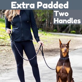 6 Foot Dog Leash, Two Extra Padded Handles, Locking Carabiner Clip, Reflective for Night Visibility, Weatherproof, Heavy Duty Rope Leash, Roam Gear (Black)