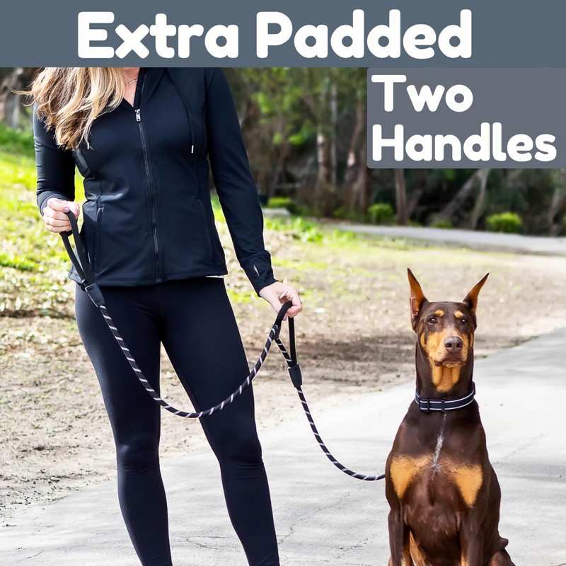 6 Foot Dog Leash, Two Extra Padded Handles, Locking Carabiner