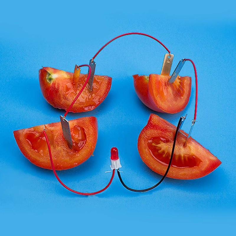 Bio Energy Science Kit Kids Learning Fun Potato Electricity Experiments