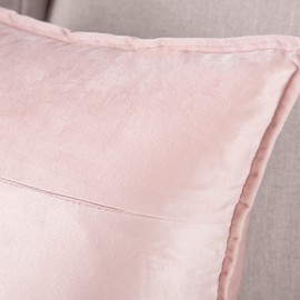 MADIZZ Set of 2 Super Soft Velvet Decorative Throw Pillow Covers 12x20 inch Light Pink Rectangular with Fringe Luxury Style Cushion Case Pillow Shell for Sofa Bedroom
