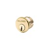 Mortise 1.6" x 4.3" Cylinder Finish: Lifetime Polished Brass