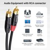Cable Matters Dual 1/4" TS to Dual RCA Cable -