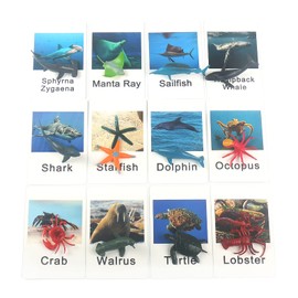 Montessori Animal Match Game Cards Marine Animal Matching Montessori Language Materials Toddlers Preschool Educational Learning Toys NEWT011