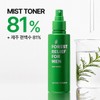 Nature Republic [Nature Republic] Forest Relief for Men Mist Toner