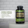 Gade Nutrition Turmeric Quercetin with Bromelain Supplement | Supplement in