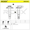 Ridex 689 °C0021 Ignition Coil Magneto
