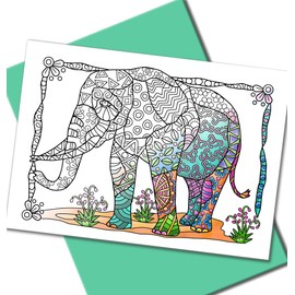 Art Eclect Coloring Nature Greeting and Thank You Note Cards, Zentangle Wildlife Animals Designs, 10 Cards with Green Envelopes included (Wildlife/Green 10 cards)