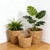 6 Pcs Plant Baskets Indoor with Plastic Liners, Wicker Hand