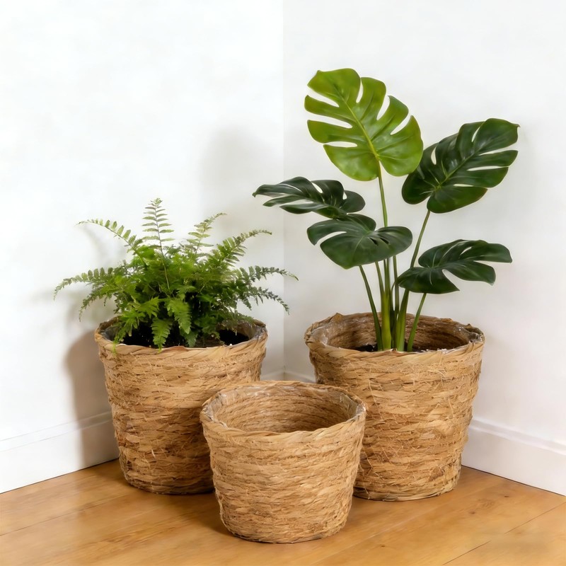 6 Pcs Plant Baskets Indoor with Plastic Liners, Wicker Hand