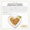 Purina Fancy Feast Delights with Cheddar Grilled Chicken, Turkey or