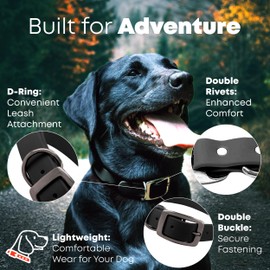 Regal Dog Products Small Black Waterproof Dog Collar with Heavy Duty Double Buckle & D Ring | Vinyl Coated, Custom Fit, Adjustable Biothane Dog Collar | Chew Resistant Waterproof Collar for Dogs