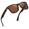 Retro Rewind Polarized Sunglasses for Men and Women - UV