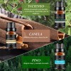 Kit De 12 Aceites Esenciales Aromaterapia 100% Puro 10ml Spa