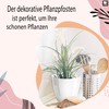 PECZEKO Flower Pot Shiny Plastic Planter Decorative Pot for Large