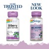 SOLARAY SOLARAY Bilberry Berry Extract 60 mg Per Capsule, Powerful
