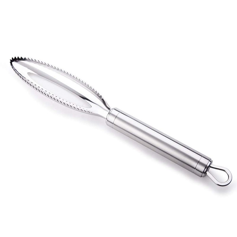 Fish Scale Remover，homeey 304 Stainless Steel Fish Scale Scraper, Ergonomic