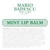 Lip Balm - Mint by Mario Badescu for Women -