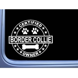 EZSTIK Certified Border Collie L264 Dog Sticker 6" decal