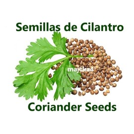 majcka4 Semillas de cilantro 7 oz Hierbas de Mexico Coriander seeds Herbal teas