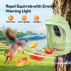 Osoeri Smart Bird Feeder with Camera – AI Bird Recognition,