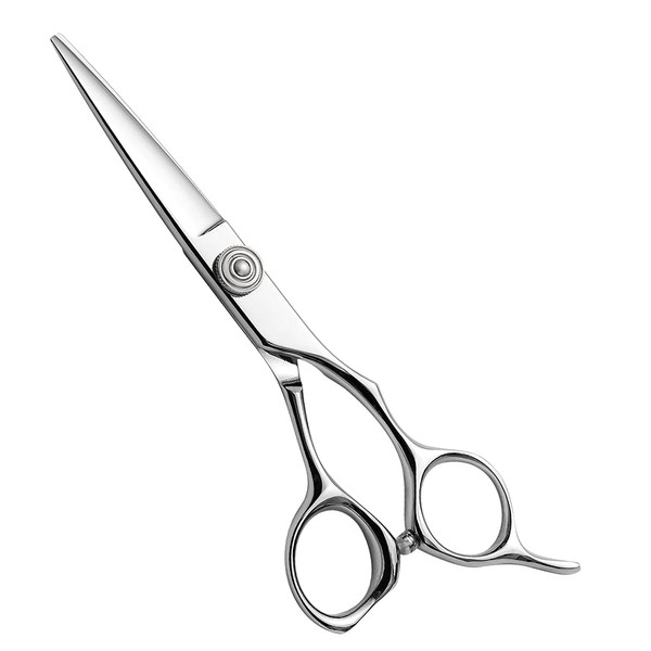 Aolanduo 5.5 Inch Pro Hair Scissors - High End AICHI Steel Handmade Hair Cutting Scissors Razor Edge / Offset Design / Pro Ergonomic for Salon Stylists Beauticians and Hairdressers