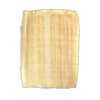 Forum Traiani Papyrus Sheet 21 x 16 cm, Natural Edge,